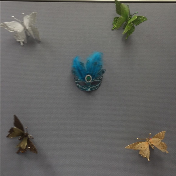 Meet your Posher, Sol - Picture 1 of 1